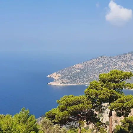 Hotel Kesif Zone Eco Retreats *