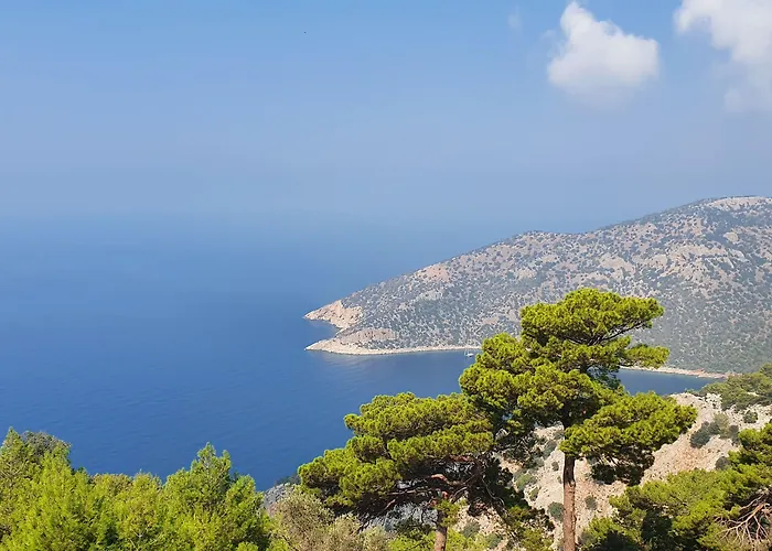 Hotel Kesif Zone Eco Retreats *